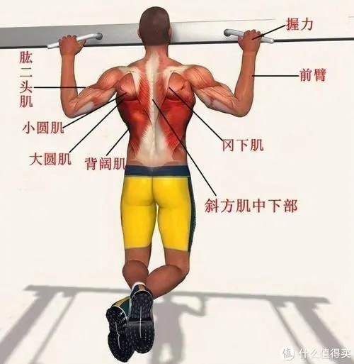 乒乓球台皮